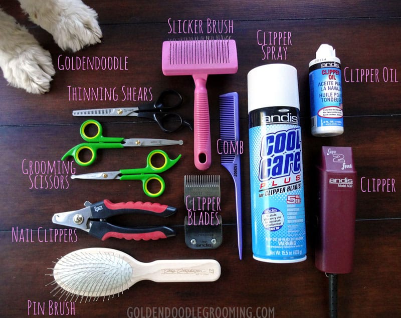 Doodle Grooming Tools at Aletha Carlisle blog