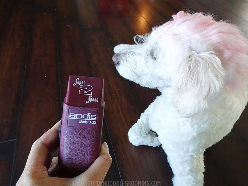 Andis AG2 professional grade pet clipper, Best Clippers for Doodles﻿