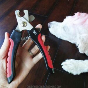 Epica pet nail clippers