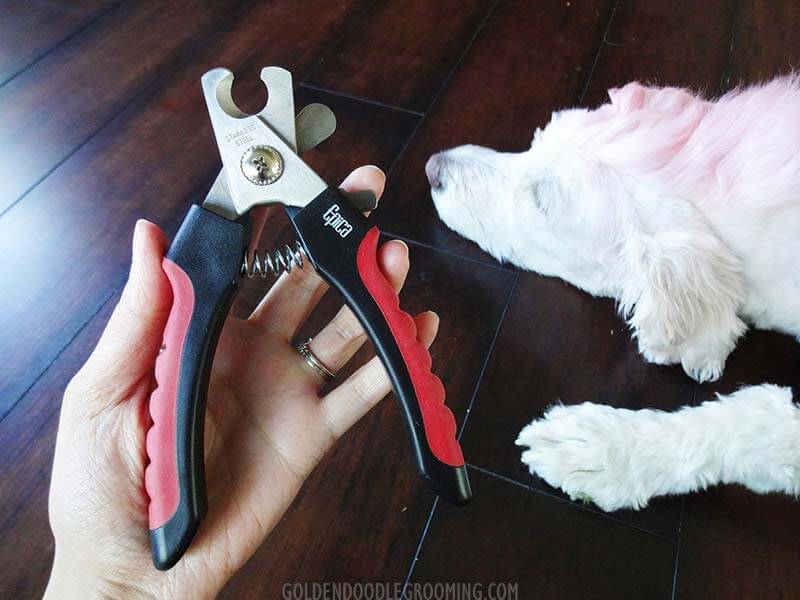 epica pet nail clippers