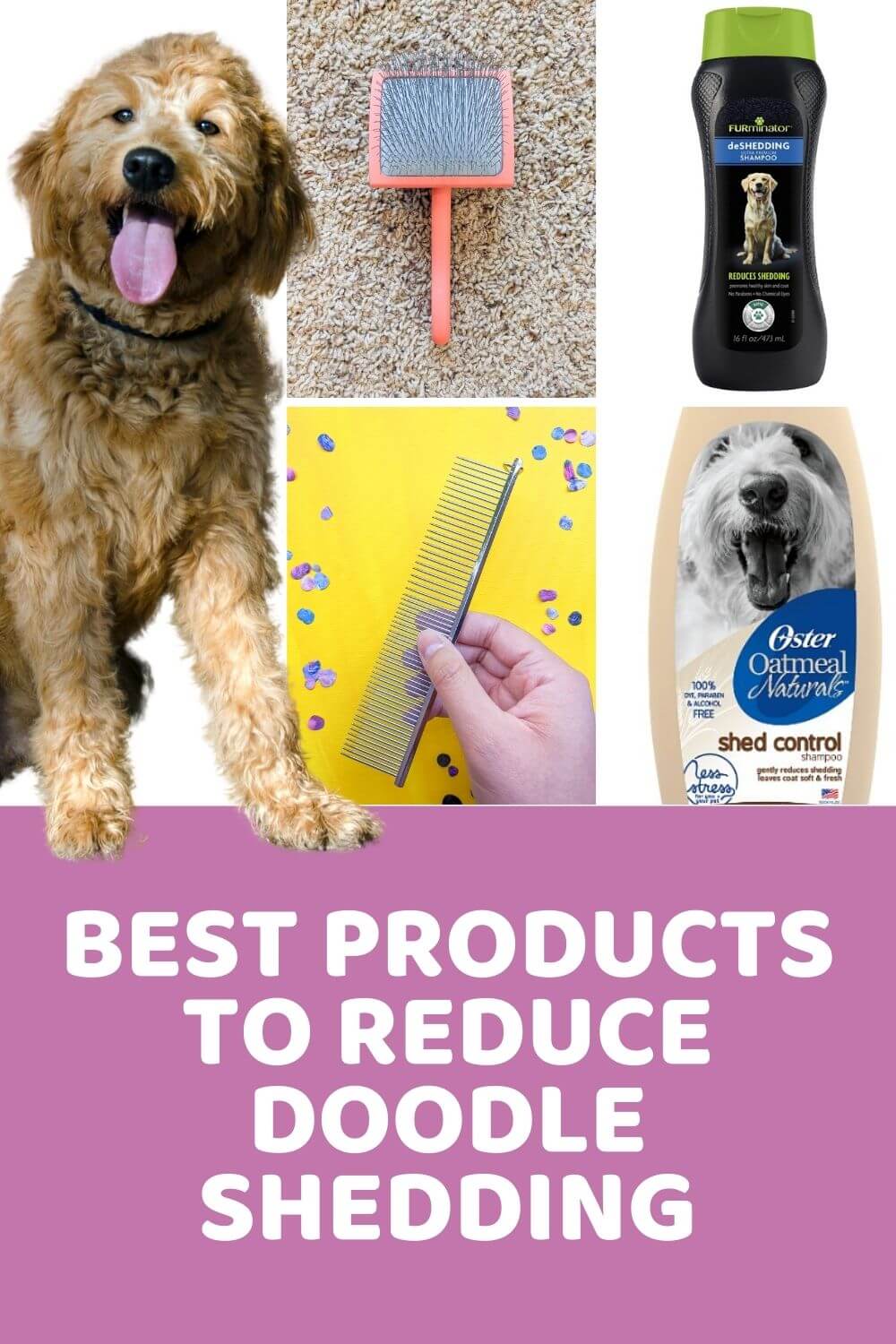 Best Products to Reduce Goldendoodle Shed Issues