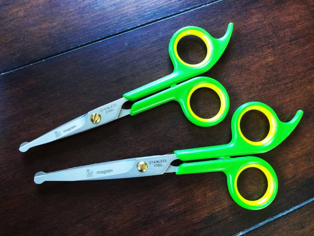 Best scissors for Goldendoodle cuts Best scissors for Goldendoodle cuts