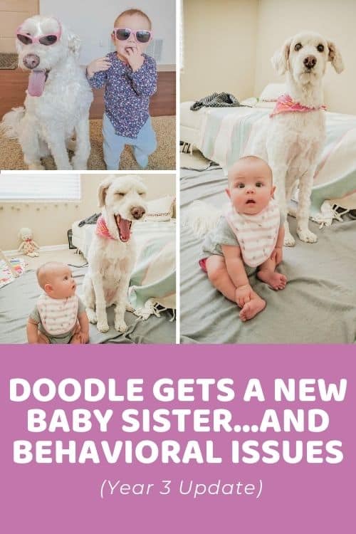 Chloe Gets a New Baby Sister...and Behavioral Issues (Year 3 Update)