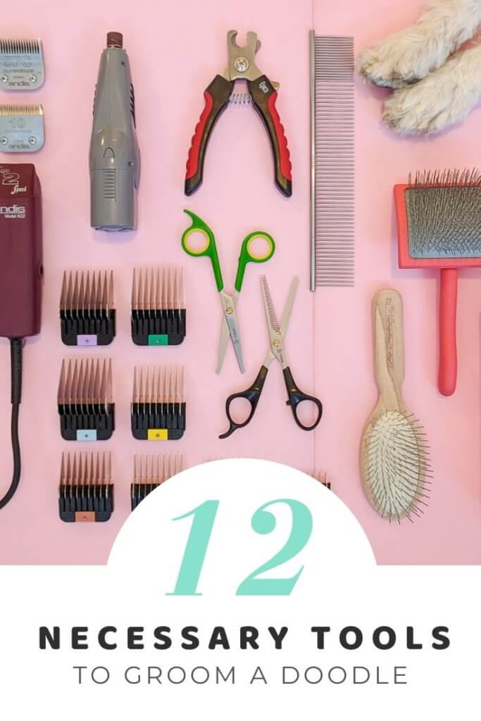 12 necessary goldendoodle grooming tools for at-home grooming