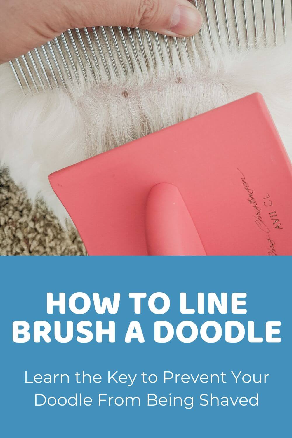 Line Brushing: Prevent Your Doodle From Being Shaved ...