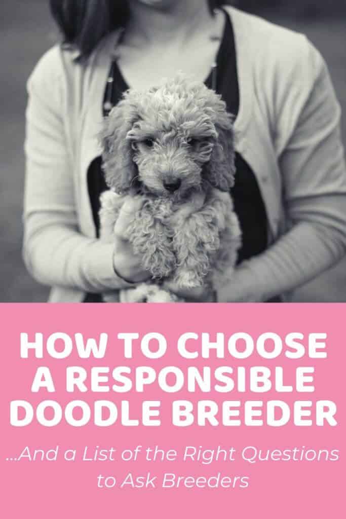HOW TO CHOOSE A RESPONSIBLE BREEDER