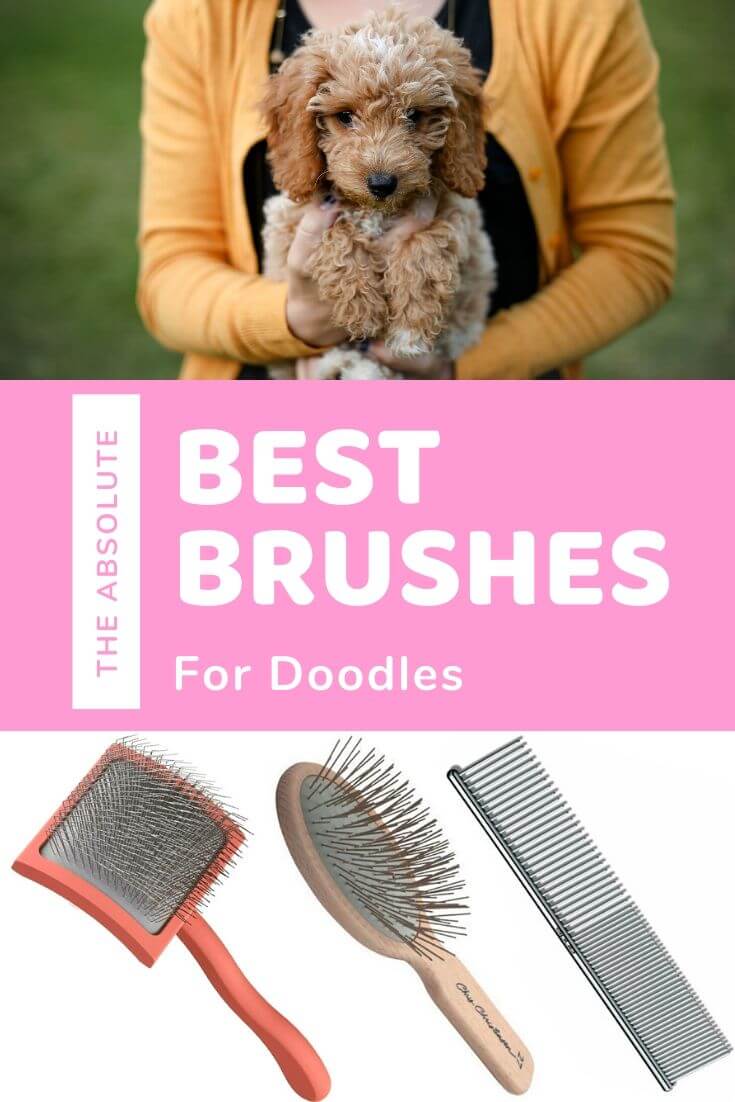 BEST Brushes for Goldendoodles 