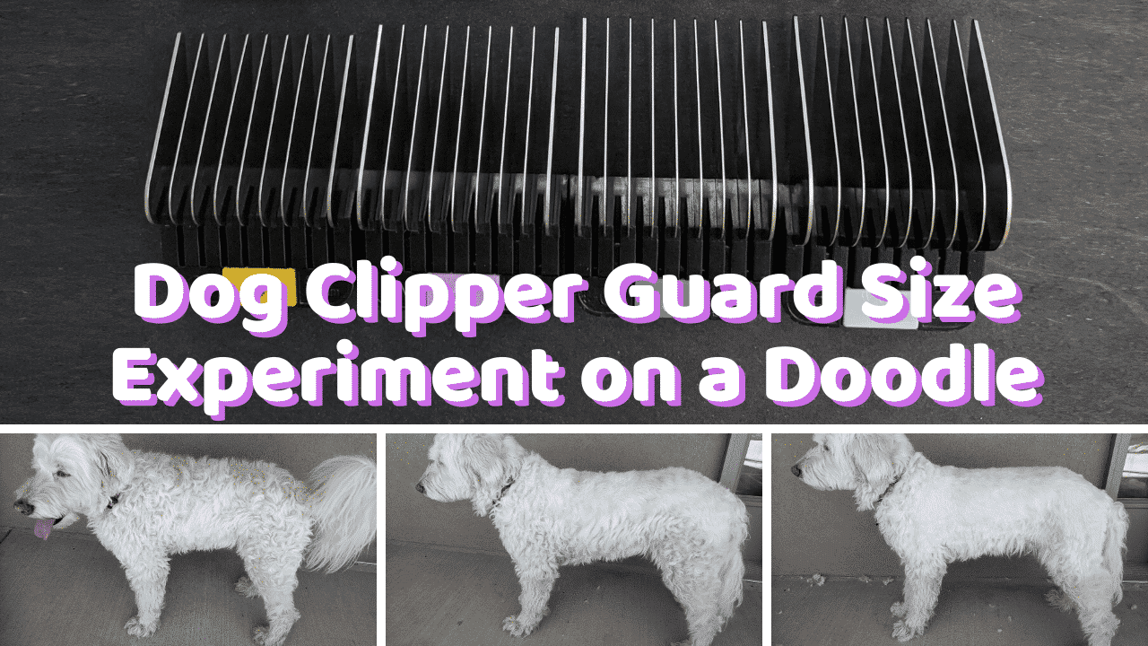 dog clippers with 2 inch guard