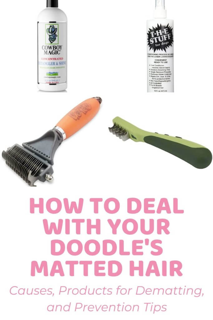 Ultimate Guide to Dealing With Matted Dog Hair on Your Doodle