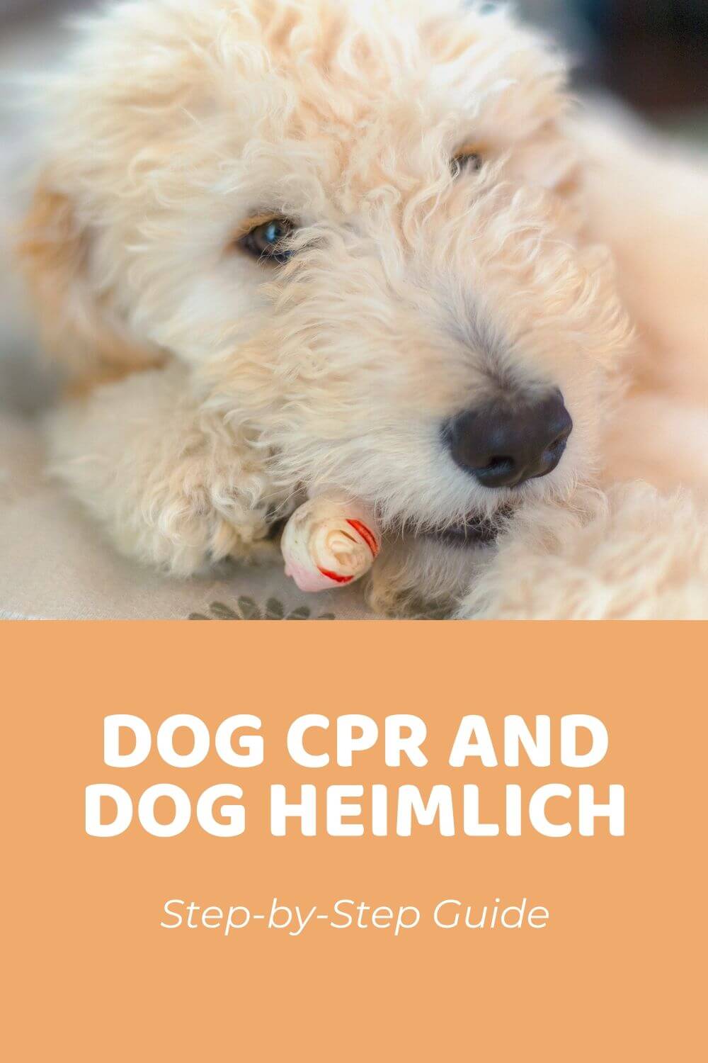 Dog CPR and Dog Heimlich Step-by-Step Guide