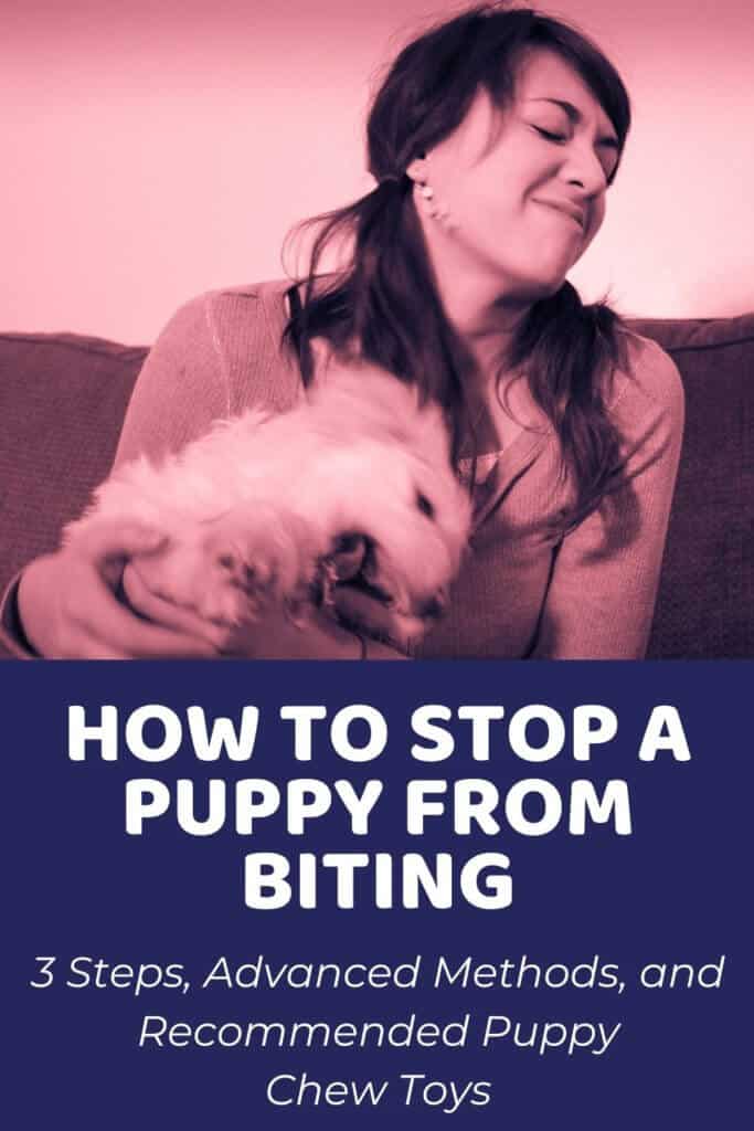 How to Stop a Puppy From Biting
