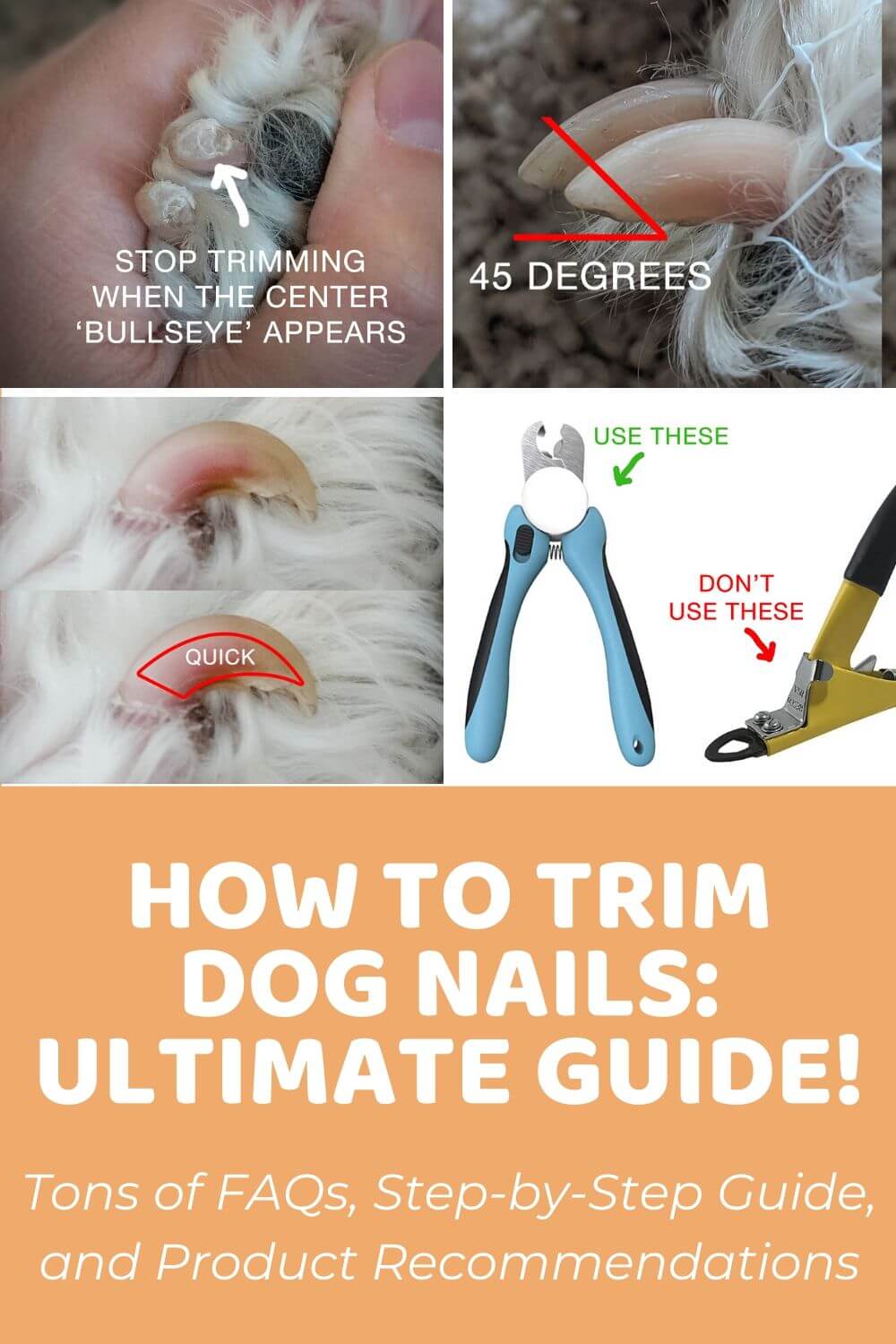 How to Trim Dog Nails Ultimate Guide