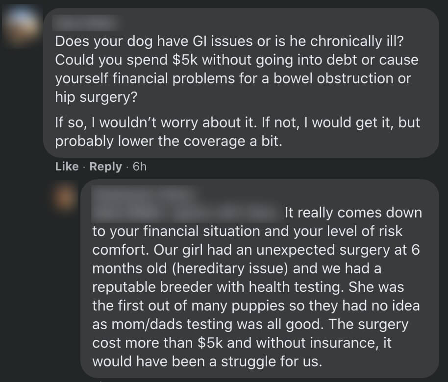best pet insurance - Is Pet Insurance Worth It