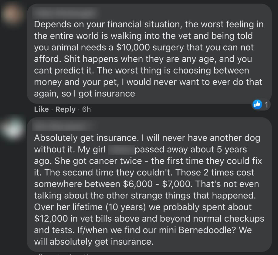 best pet insurance - Is Pet Insurance Worth It