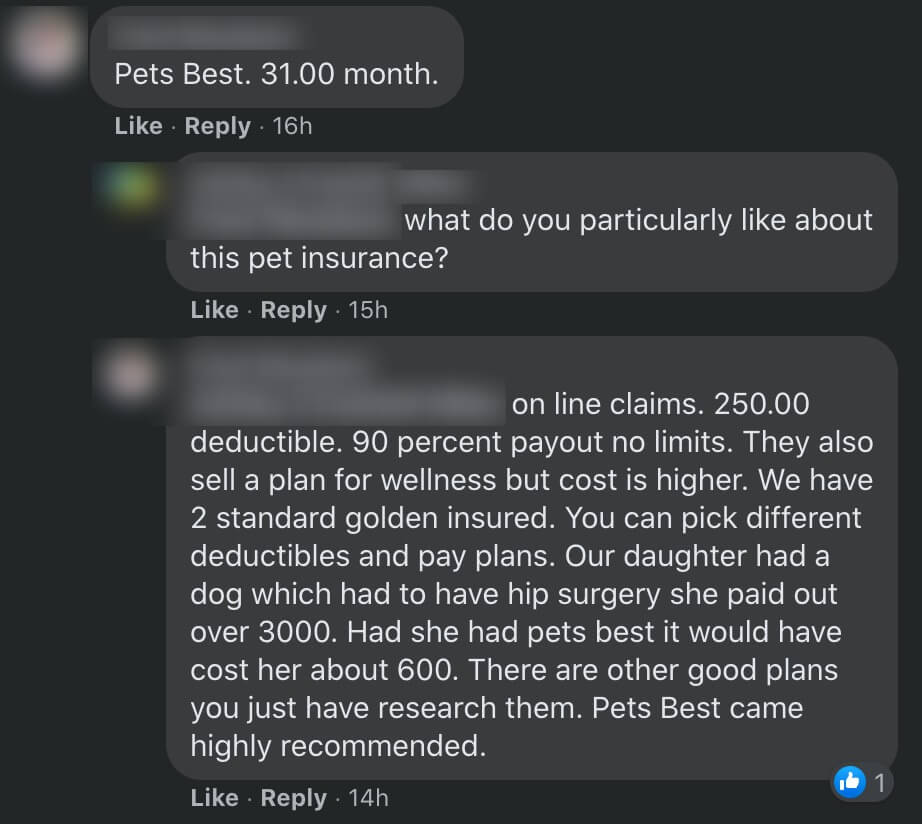 best pet insurance for doodles