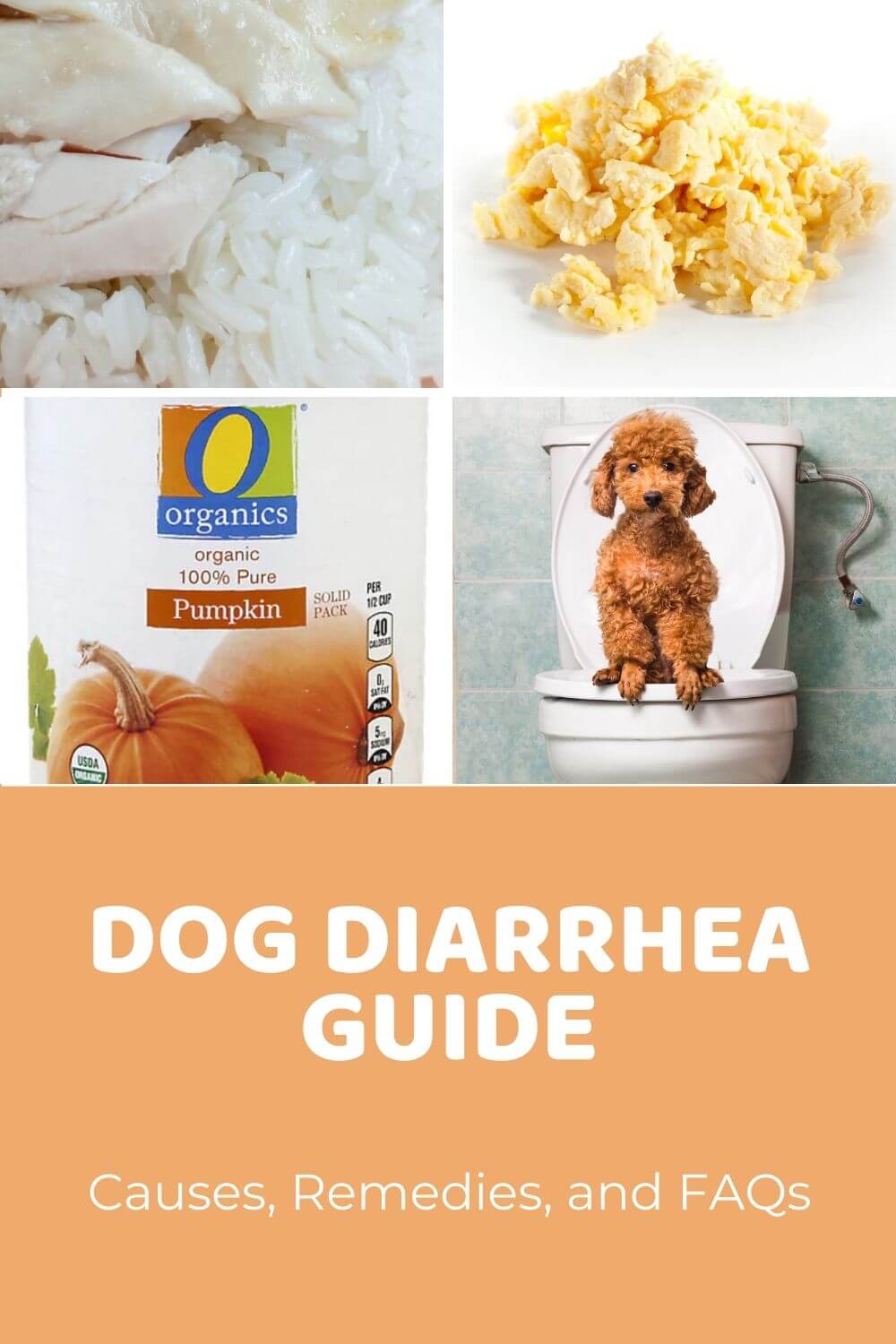How much pumpkin to give a dog for upset stomach Dog Diarrhea Causes Remedies And Faqs Doodle Doods