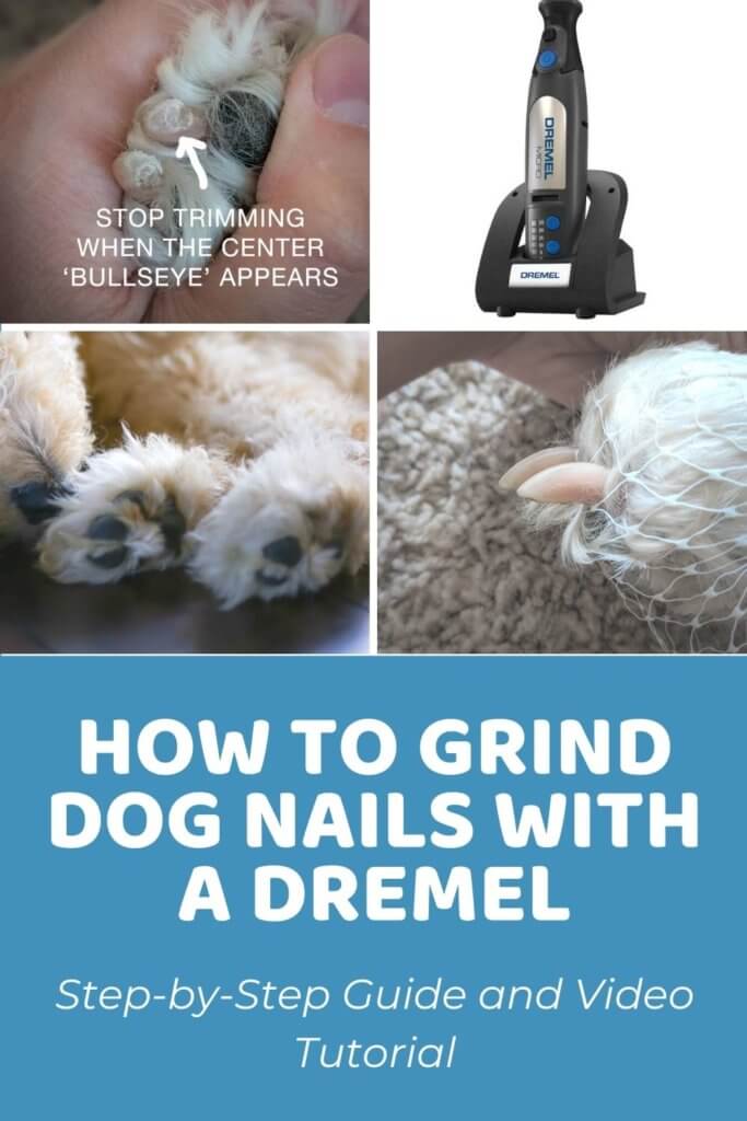 How to Grind Dog Nails With a Dremel