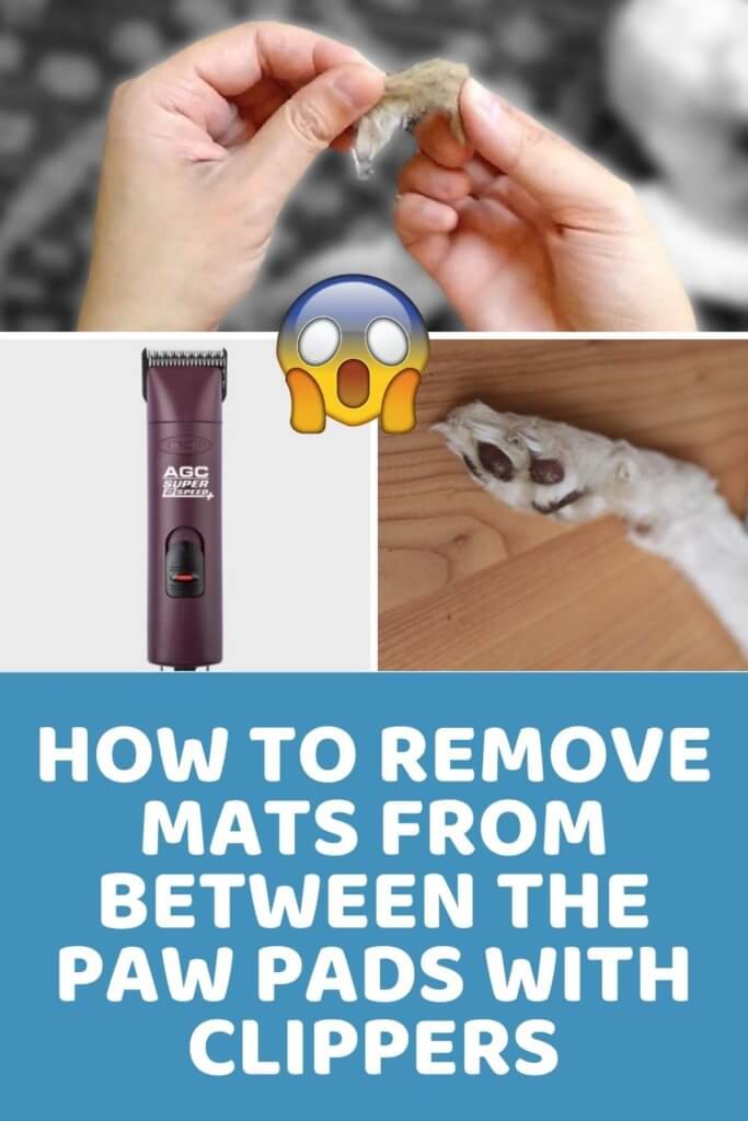 How to Remove Mats From Between the Paw Pads With Clippers
