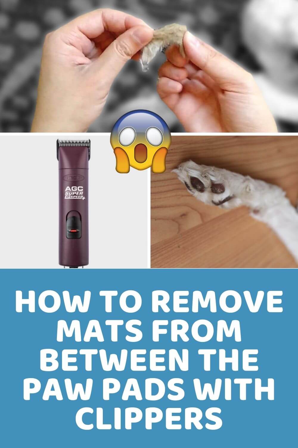 How to Remove Mats From Between the Paw Pads With Clippers