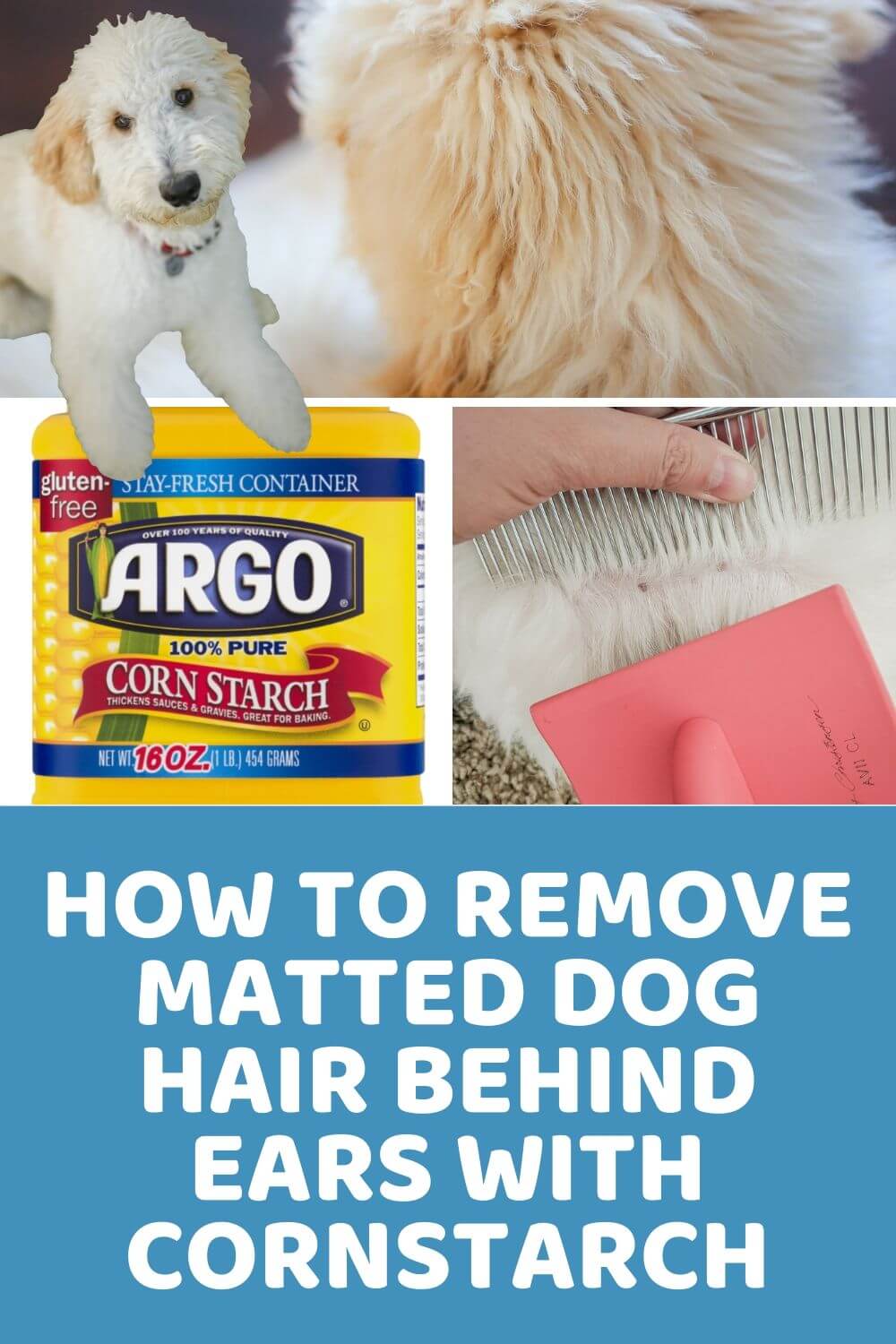 matted dog hair behind ears - dematting a dog with cornstarch