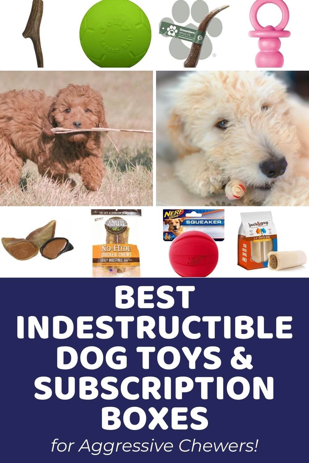 Best Indestructible Dog Toys and Subscription Boxes for Aggressive Chewers