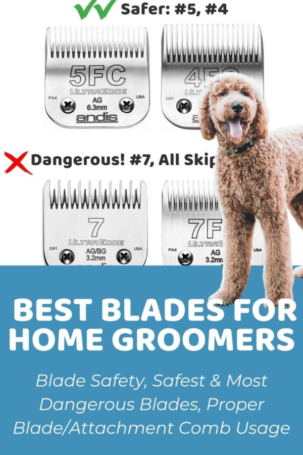 clipper blade size chart for dogs