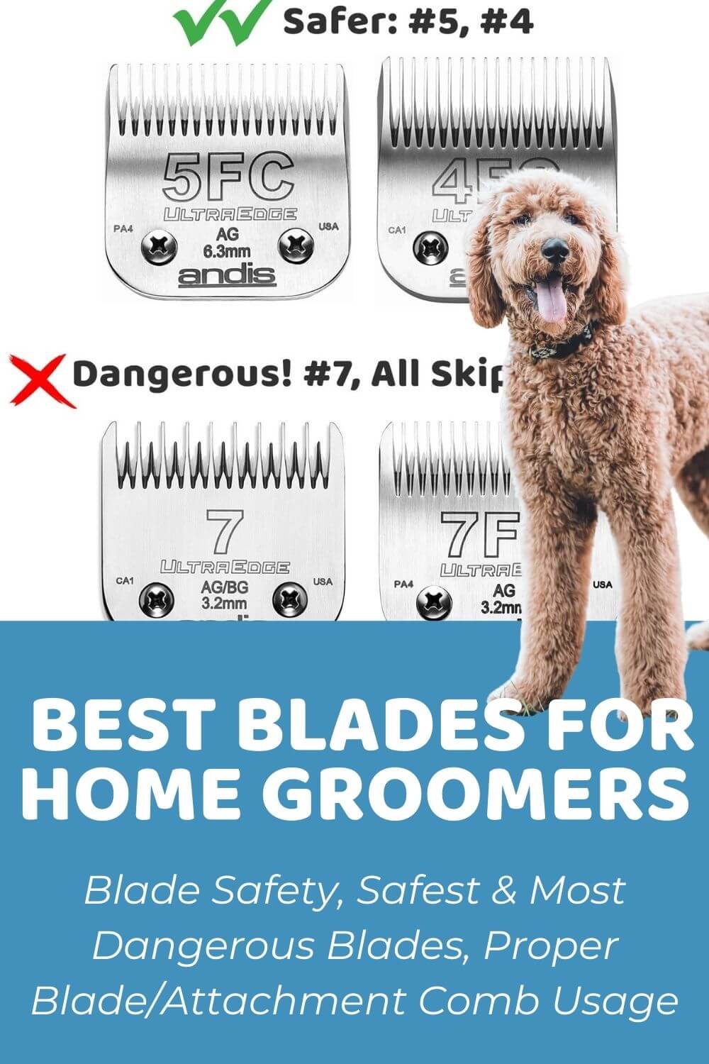Blade Safety and Best Blades For Home Groomers