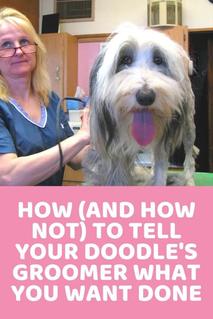 How (And How NOT) to Tell Your Doodle's Groomer What You Want Done