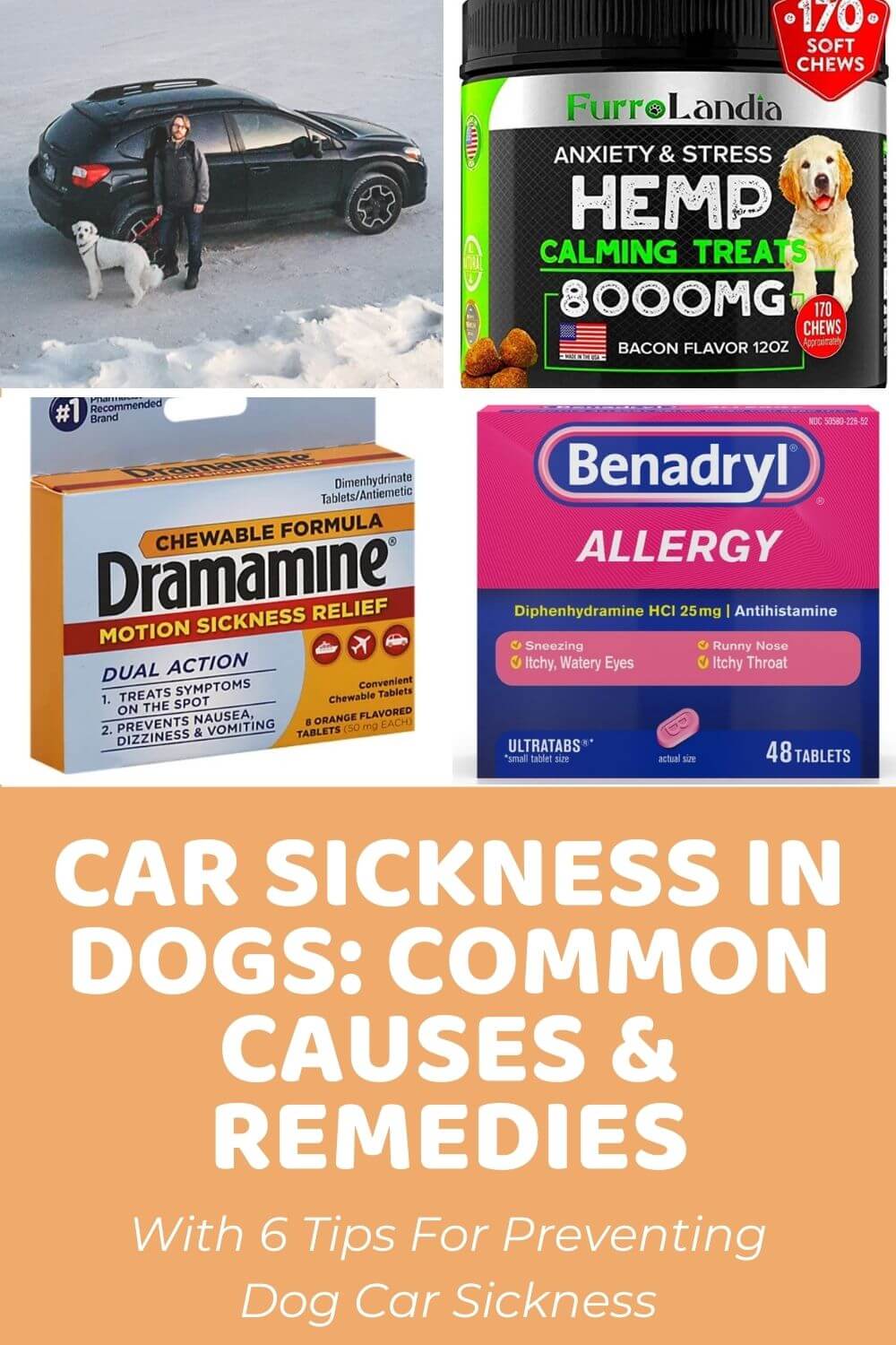 Dog Car Sickness_ Common Causes and Remedies