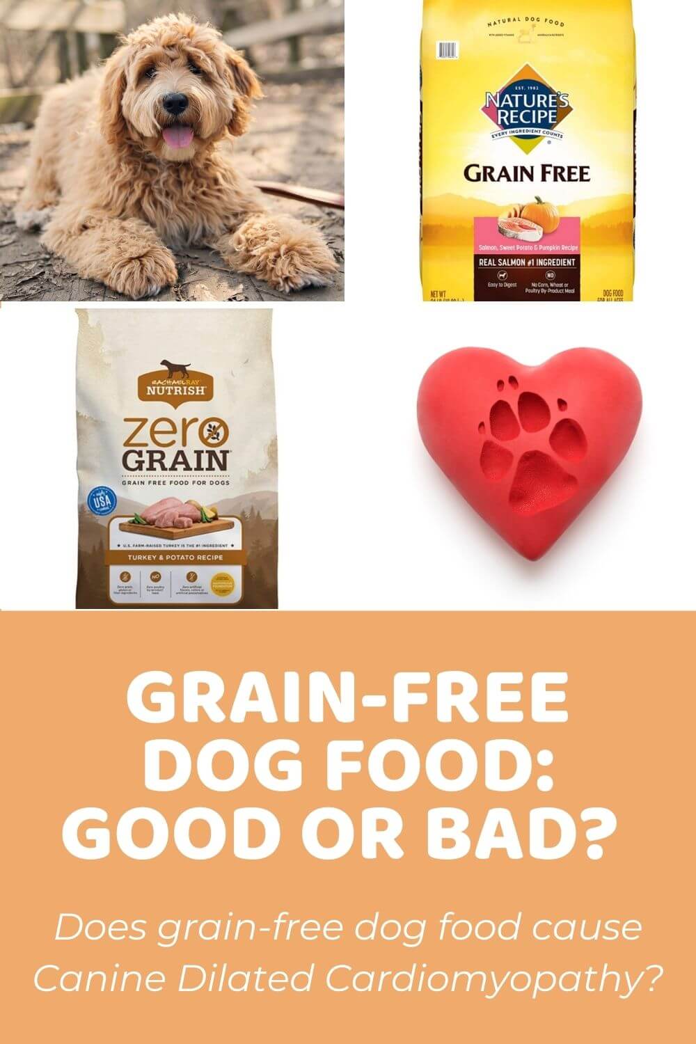 Does Authority Dog Food Have Grain