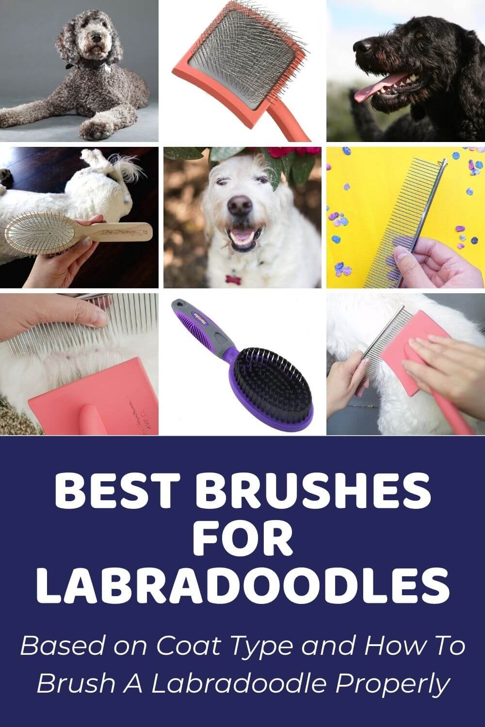 The Ultimate Labradoodle Brush Guide_ The Best Brush For Labradoodle