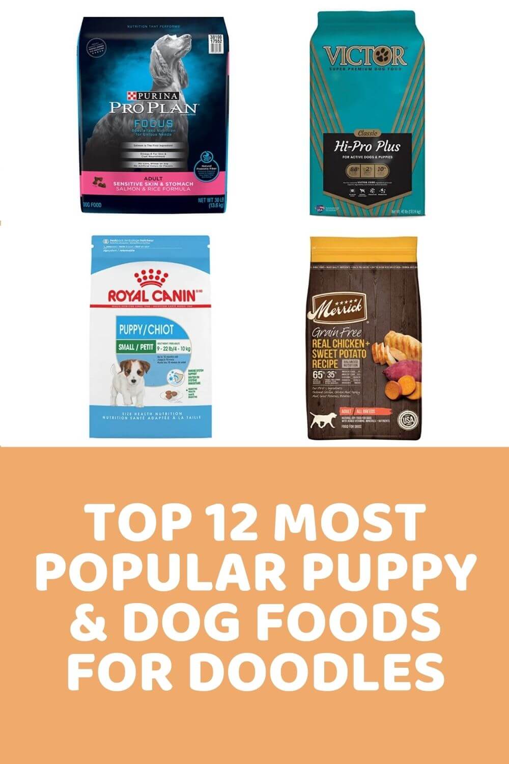 Top 12 Most Popular Puppy & Dog Foods For Doodles