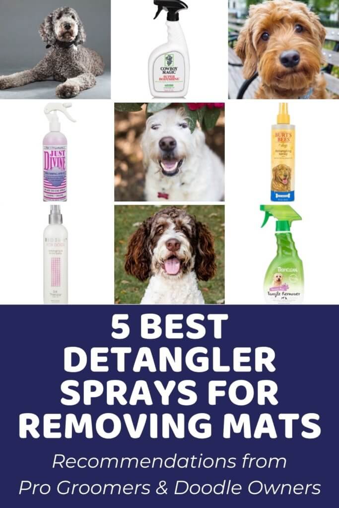 5 Best Dog Detangler Sprays to Help Remove Mats_ Recommended by Pro Groomers