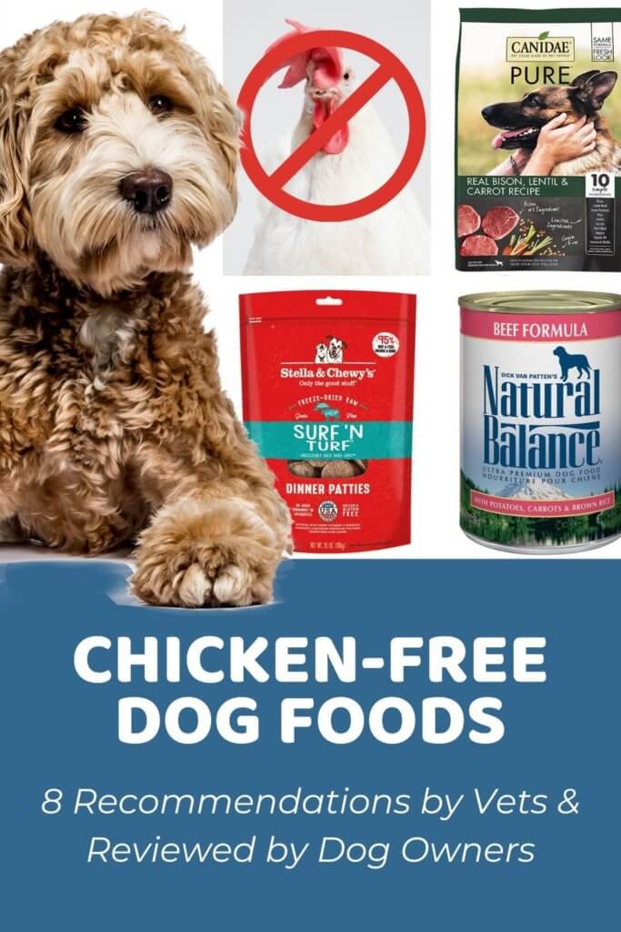 Best Chicken-Free Dog Food_ Recommended by Vets & Reviewed by Dog Owners