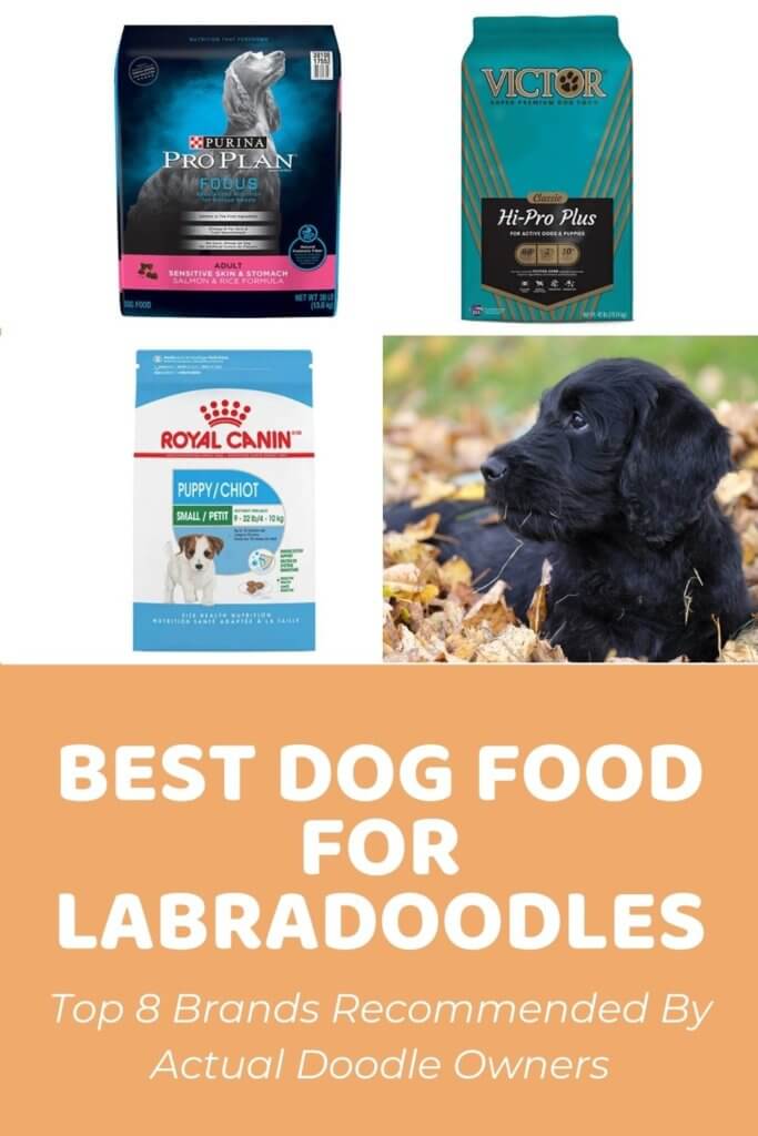 Best Dog Food for Labradoodle Puppies & Adults - Top 8 Brands Recommended By Actual Doodle Owners
