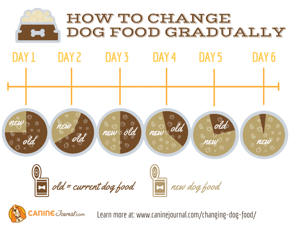 how-to-change-dog-food-gradually-graphic