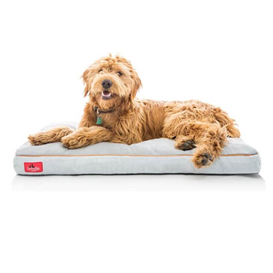 new puppy shopping list - bed