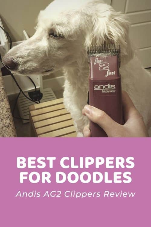 Best Clippers for Goldendoodles - Andis AG2 Clippers Review (2022 Update)