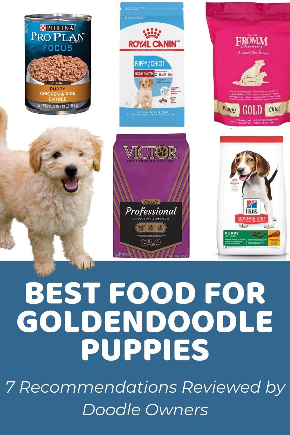 Best Goldendoodle Puppy Food - Reviews from Doodle Owners!