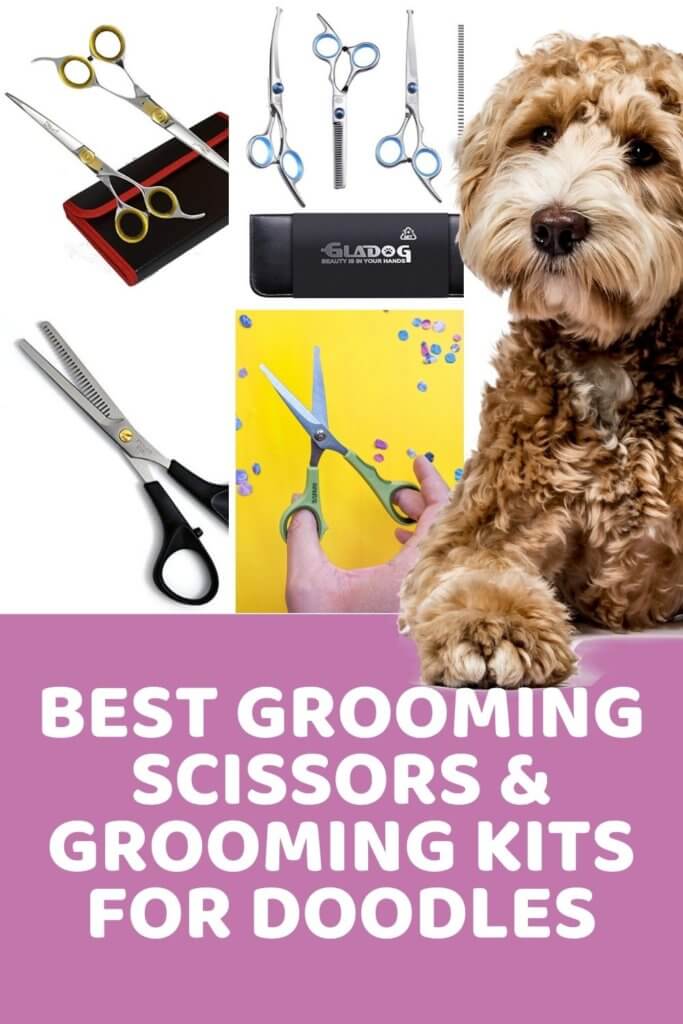 Best Grooming Scissors and Grooming Kits for Goldendoodle Cuts