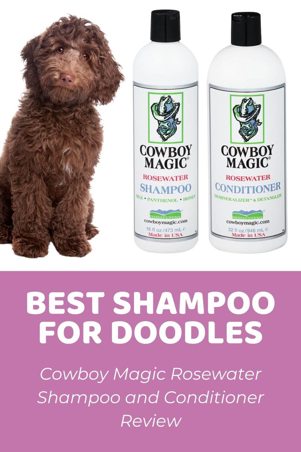Best Shampoo for Doodles_ Cowboy Magic Shampoo and Conditioner Review