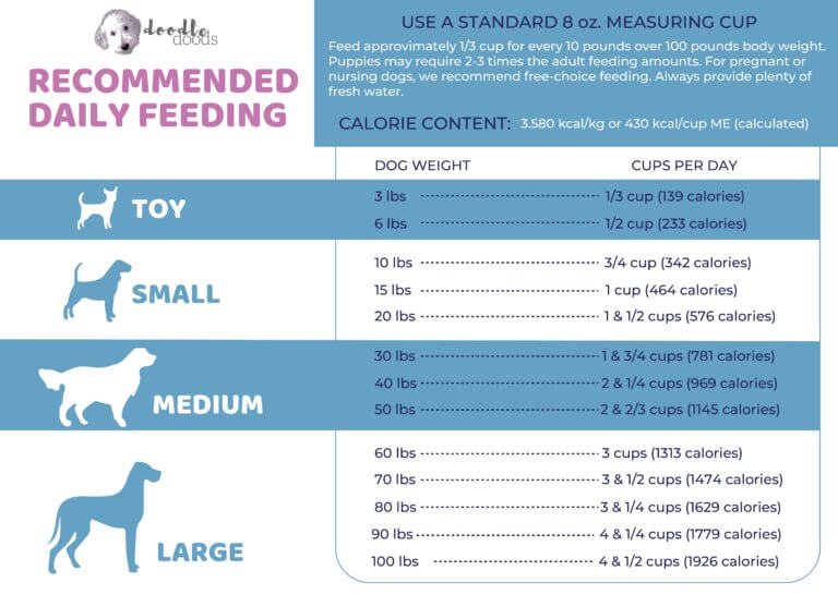 how-much-should-i-feed-my-dog-calculator-and-feeding-guidelines