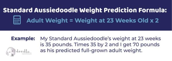 aussiedoodle-size-chart-with-39-500-aussiedoodle-weight-data-points