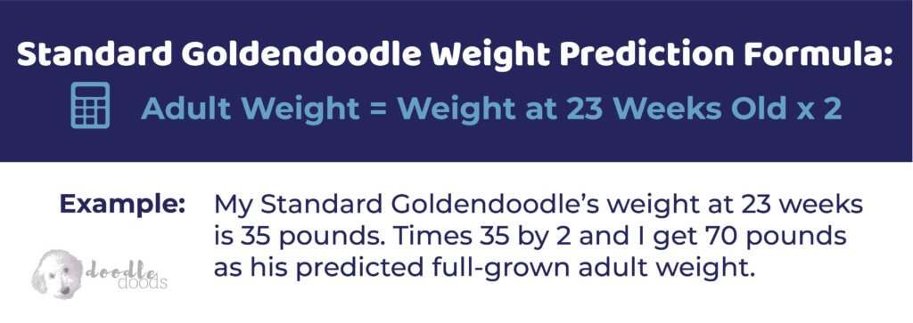 Standard Goldendoodle Weight formula - Goldendoodle Size Chart