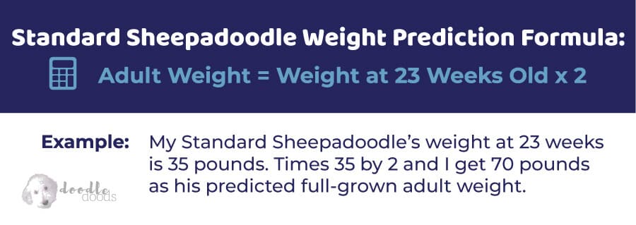 Standard Sheepadoodle Size Formula