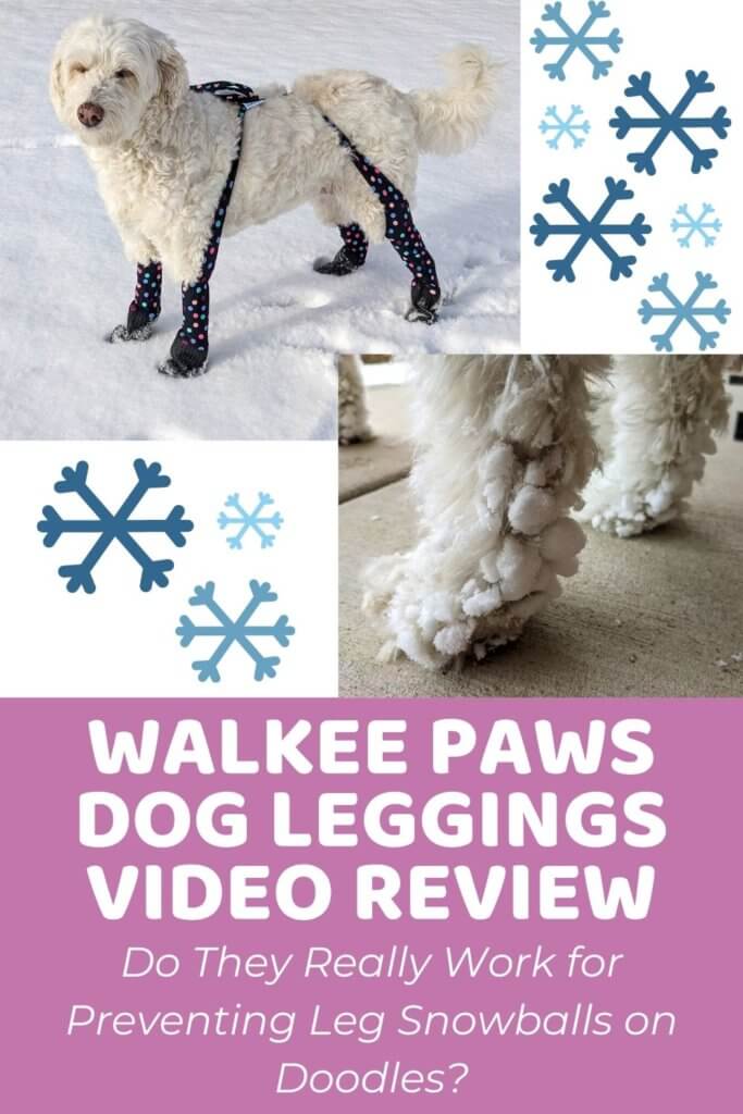 Walkee Paws for Preventing Leg Snowballs on Doodles_ A Review