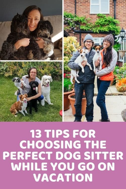 13 Tips for Choosing the Perfect Dog Sitter While You Go on Vacation