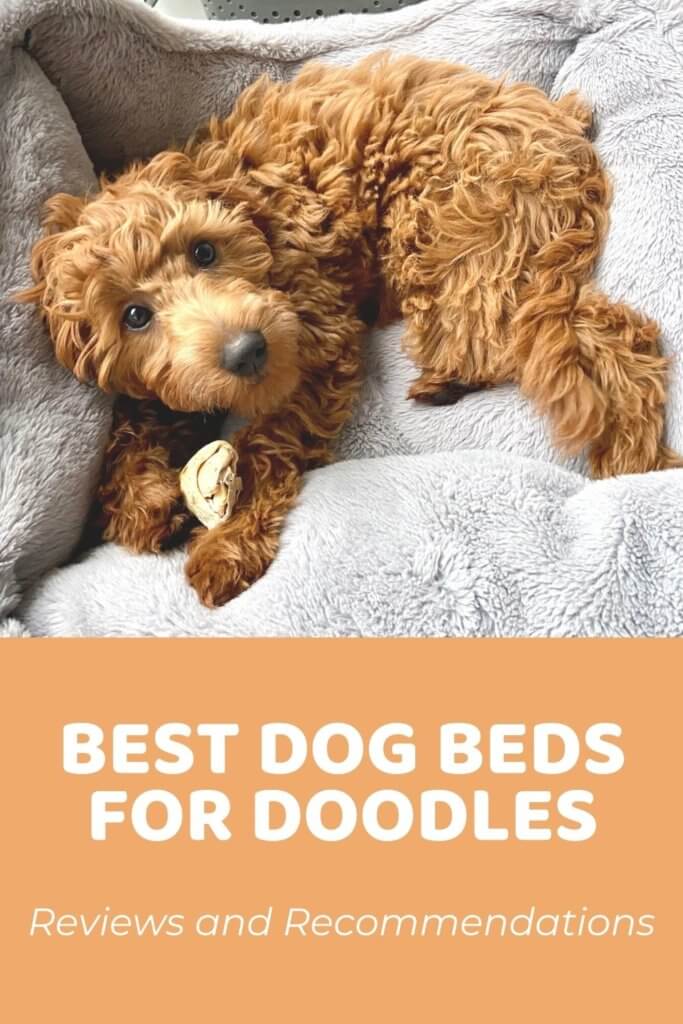 Best Dog Beds for Goldendoodles (& All Other Doodles) [Updated 2020]