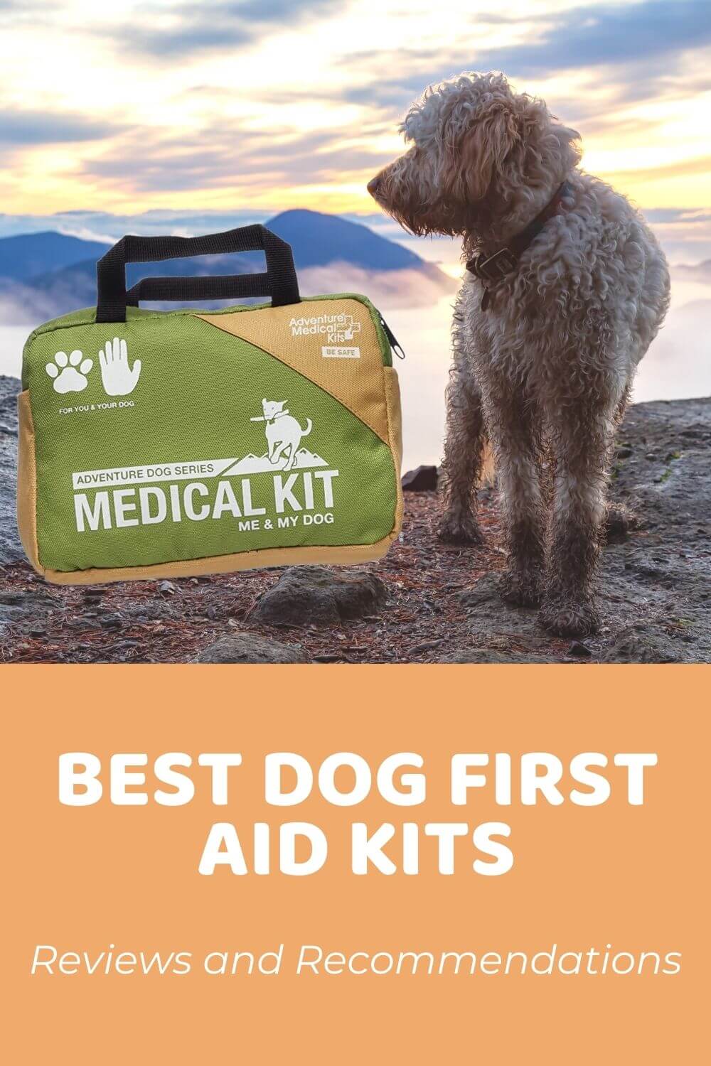 Best Dog First Aid Kit Reviews and Recommendations