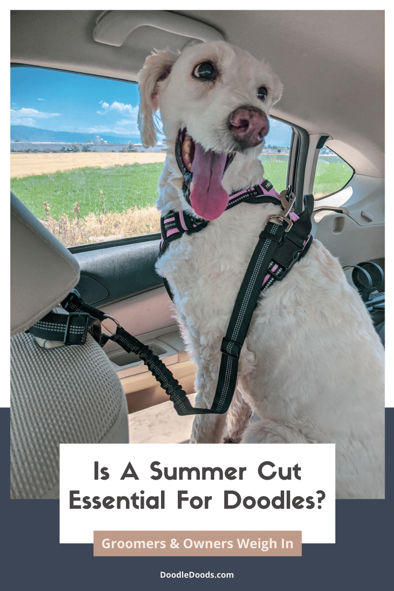 Is Summer Cut Essential?